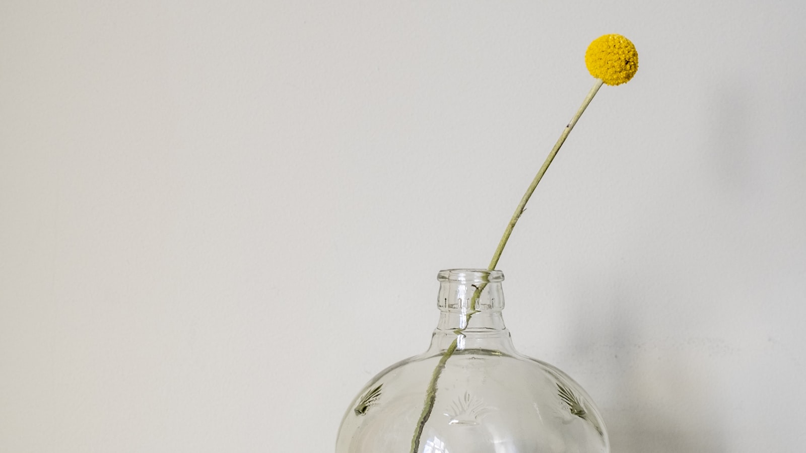 Single yellow flower in glass vase — a quiet signal