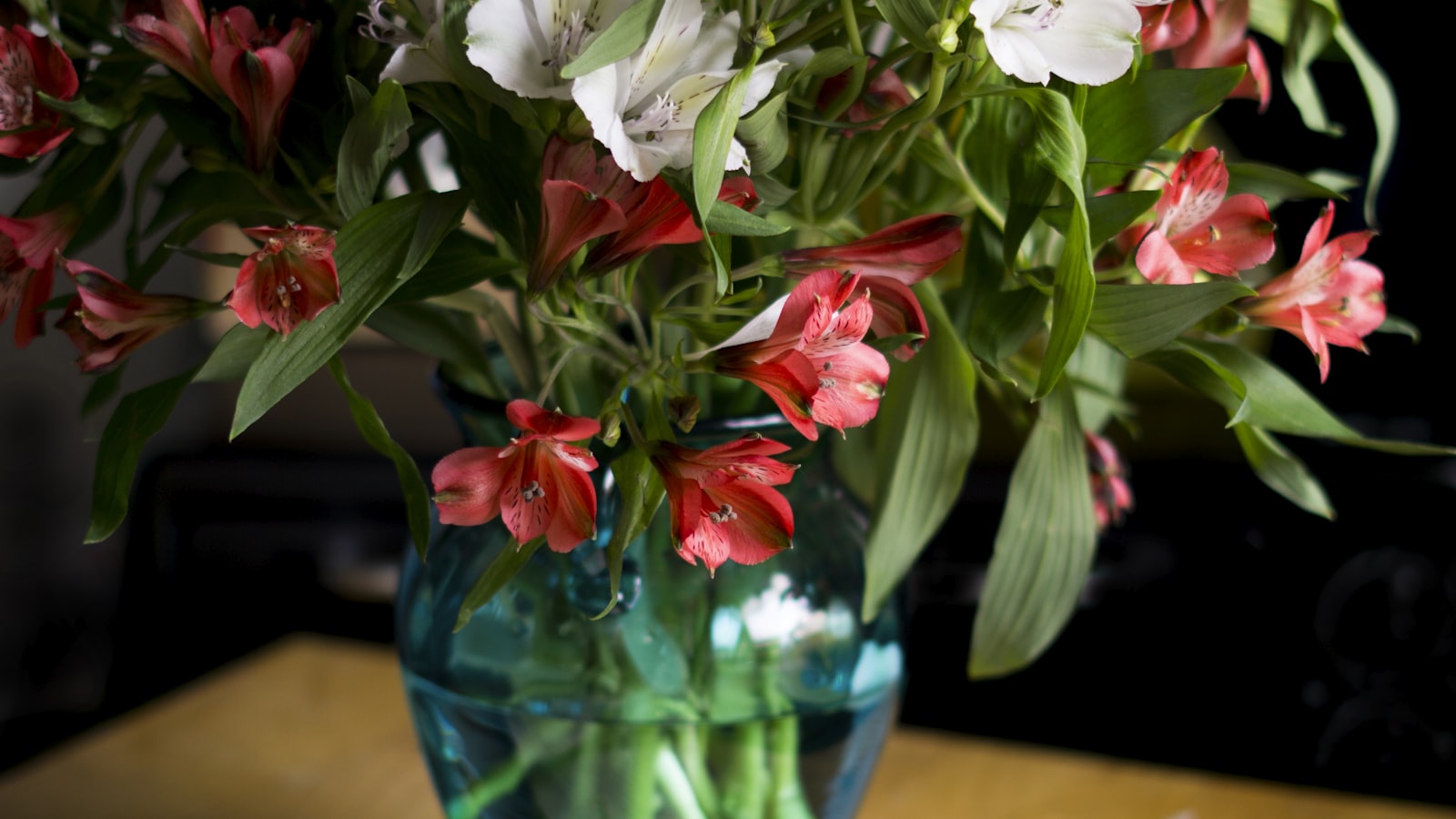 Green plant and white flowers in a vase — skin in your fifties